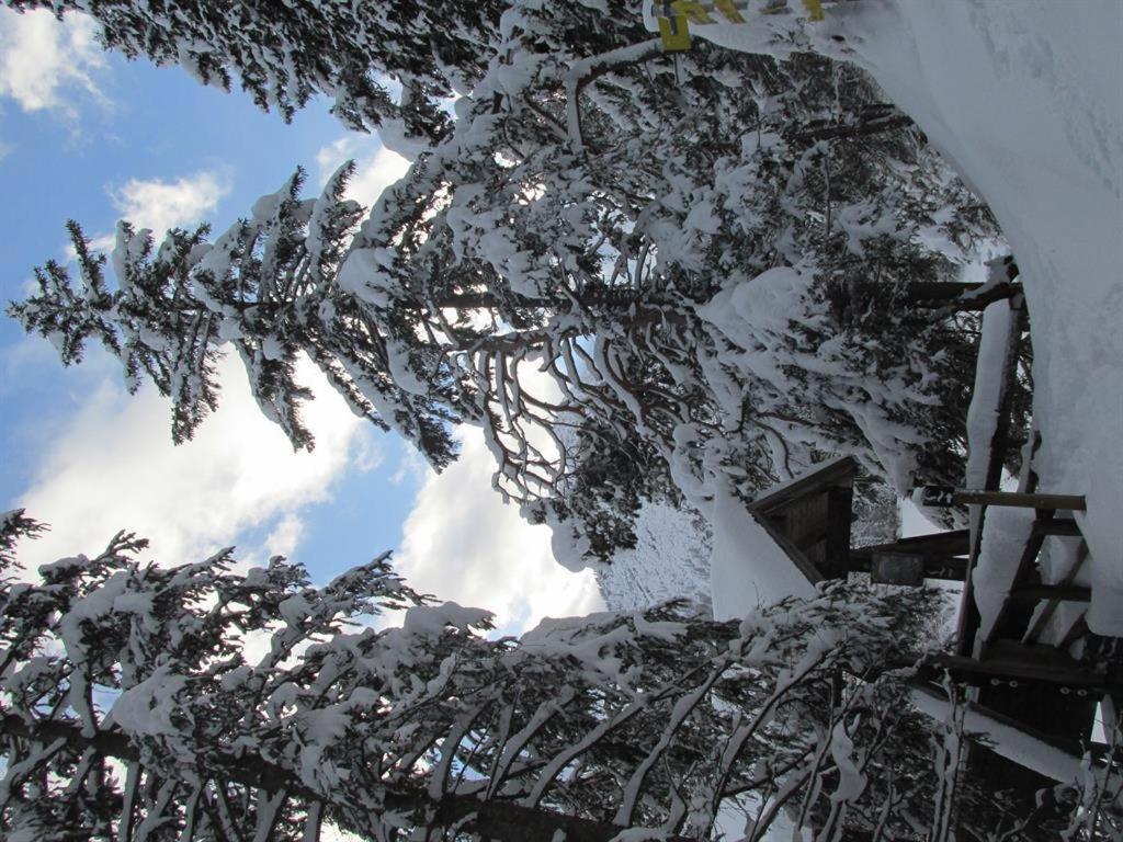 Gaestehaus Hoamat'L Bach  Kültér fotó